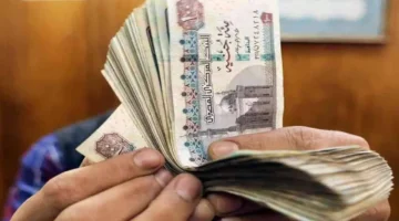 موعد صرف مرتبات نوفمبر 2025 وكيفية الحصول على المرتب مقدماً بآلية واضحة وميسرة